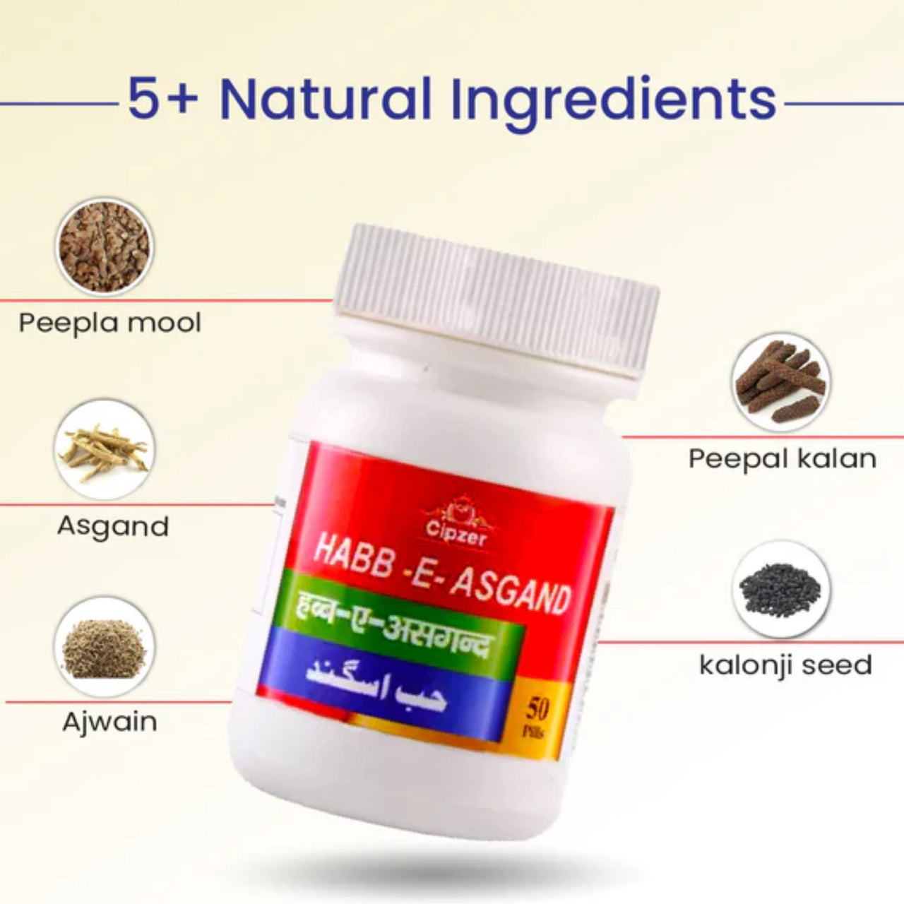 https://cdn.shopify.com/s/files/1/1857/6931/files/CHBEASGND50-5.jpg?v=1762776678