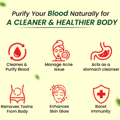 https://cdn.shopify.com/s/files/1/1857/6931/files/CHBEMUEKHN100-4.jpg?v=1762781429