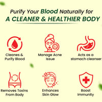 https://cdn.shopify.com/s/files/1/1857/6931/files/CHBEMUEKHN100-4.jpg?v=1762781429