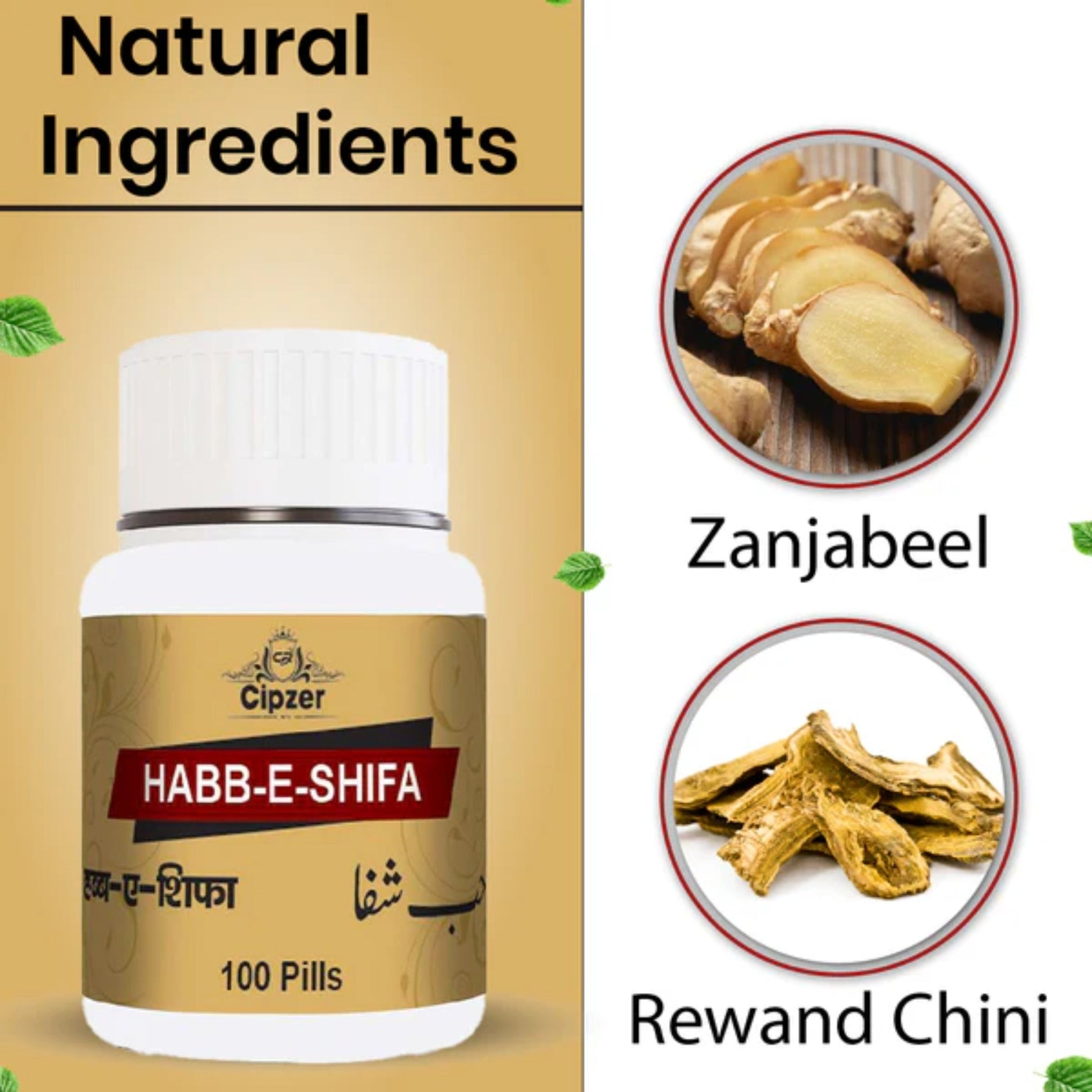 https://cdn.shopify.com/s/files/1/1857/6931/files/CHBSHFA100-5.jpg?v=1762865650