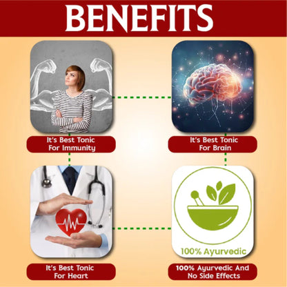 https://cdn.shopify.com/s/files/1/1857/6931/files/CKHMEGAOZSDA125-4.jpg?v=1762940985