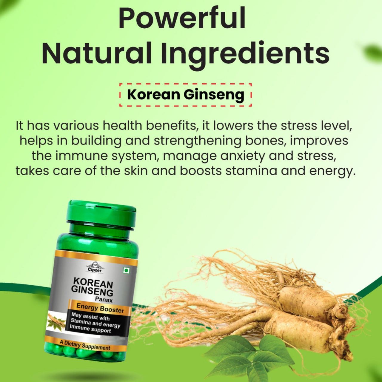 https://cdn.shopify.com/s/files/1/1857/6931/files/CKORGN60-5_008aa3f0-5068-4cc1-8bc8-e90c5b4c8c20.jpg?v=1762336477
