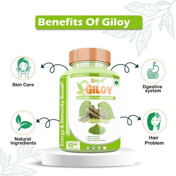 https://cdn.shopify.com/s/files/1/1857/6931/products/CLtfHmDPRV.jpg?v=1672210646