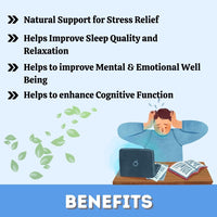 https://cdn.shopify.com/s/files/1/1857/6931/files/CM508-3_1.jpg?v=1760092679