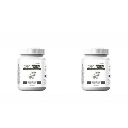 https://cdn.shopify.com/s/files/1/1857/6931/files/CN02_4896549c-2297-478d-b223-235970610ca0.png?v=1756818617
