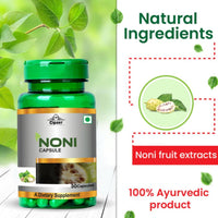 https://cdn.shopify.com/s/files/1/1857/6931/files/CNONI60-5.jpg?v=1762345911