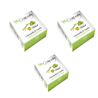 https://cdn.shopify.com/s/files/1/1857/6931/files/COWPA-RAVIN-86122-02_ee013d90-1037-4629-b296-d06f39fb6cae.png?v=1756824278