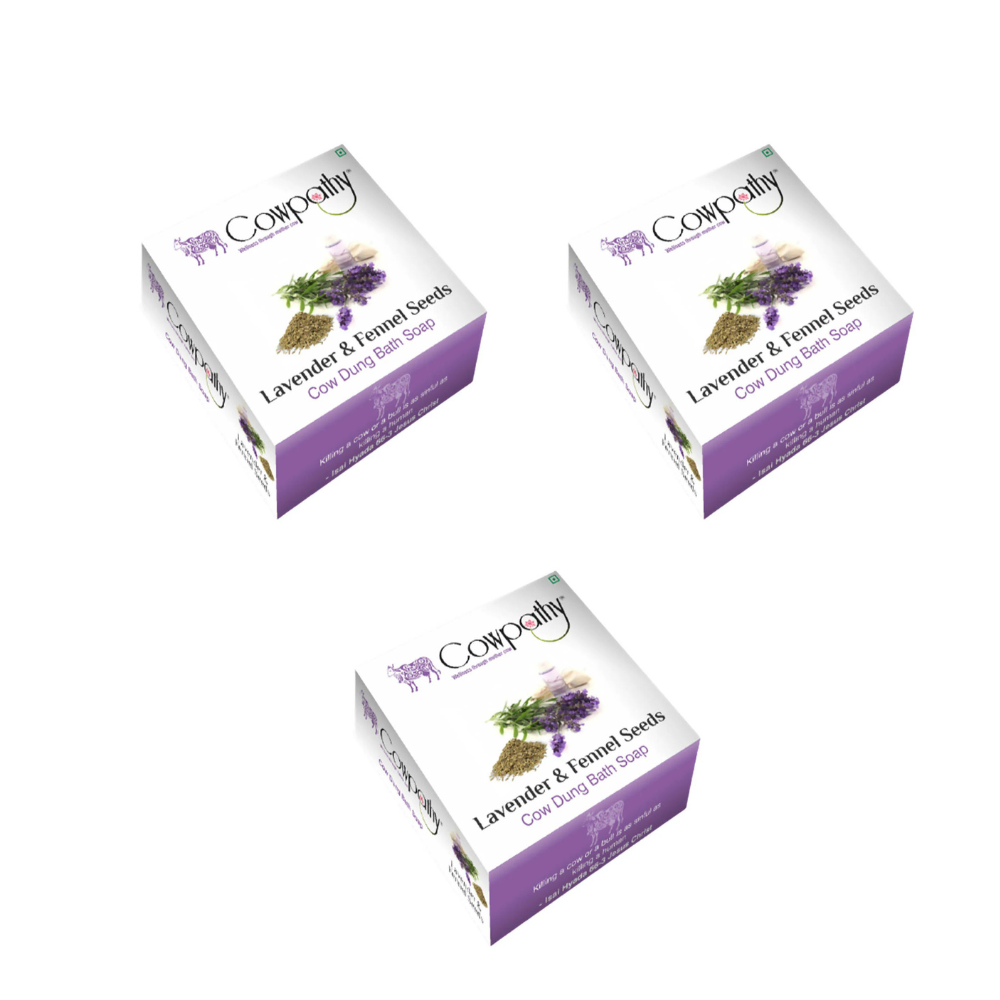 https://cdn.shopify.com/s/files/1/1857/6931/files/COWPA-RAVIN-86834-02_494ffd2d-8807-4747-b3d0-3005f01915b2.png?v=1756824273