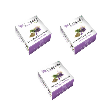 https://cdn.shopify.com/s/files/1/1857/6931/files/COWPA-RAVIN-86834-02_494ffd2d-8807-4747-b3d0-3005f01915b2.png?v=1756824273