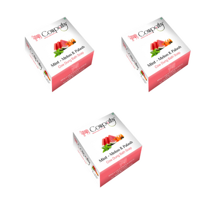 https://cdn.shopify.com/s/files/1/1857/6931/files/COWPA-RAVIN-86838-02_156ad481-ad5e-4091-a891-42cccdcdb020.png?v=1756824267
