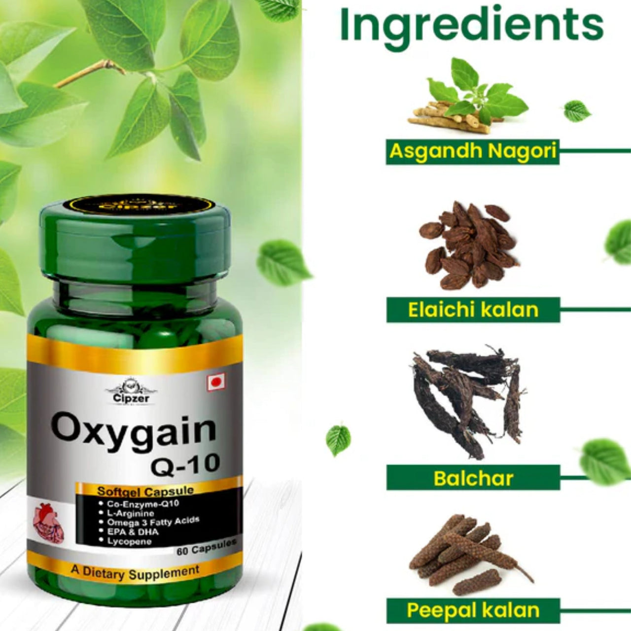 https://cdn.shopify.com/s/files/1/1857/6931/files/COXYQ1060-5_1.jpg?v=1762347565