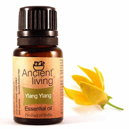 https://cdn.shopify.com/s/files/1/1857/6931/files/CRN0xQGT5d-252540.jpg?v=1736147460