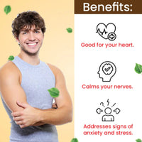 https://cdn.shopify.com/s/files/1/1857/6931/files/CSHRAHMSHI200-4.jpg?v=1763013961