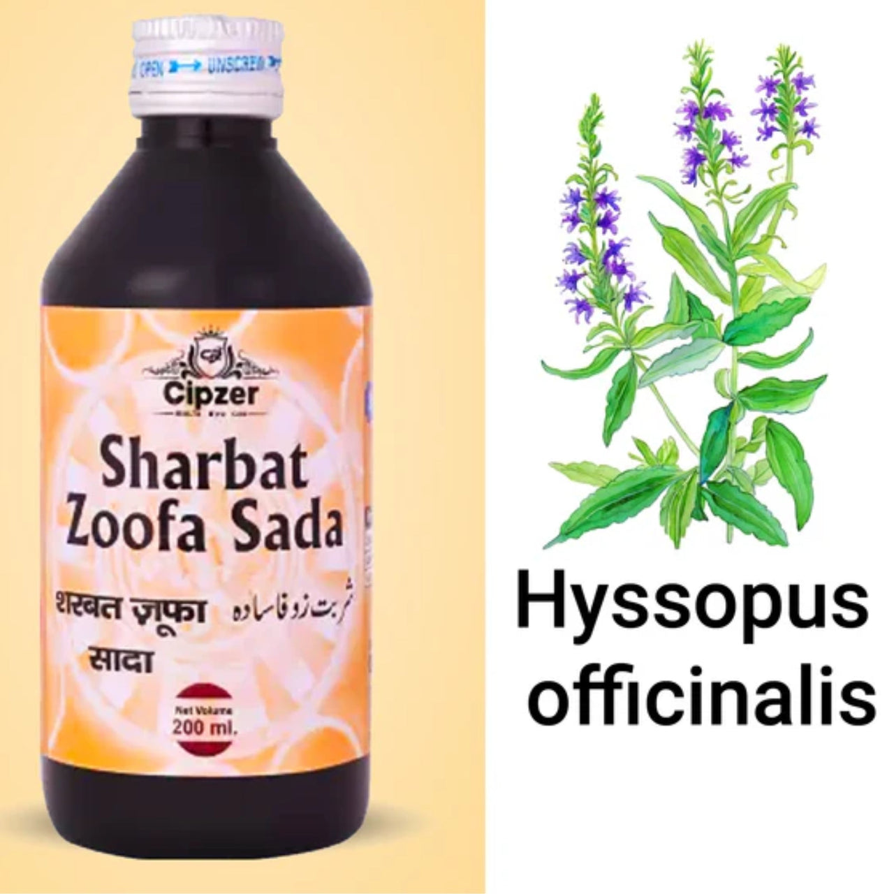 https://cdn.shopify.com/s/files/1/1857/6931/files/CSHRBZOFSDA200-5.jpg?v=1763020200