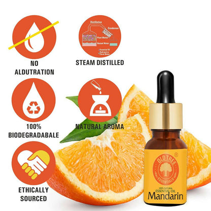 https://cdn.shopify.com/s/files/1/1857/6931/products/CSO0kvuhY9.jpg?v=1683724682