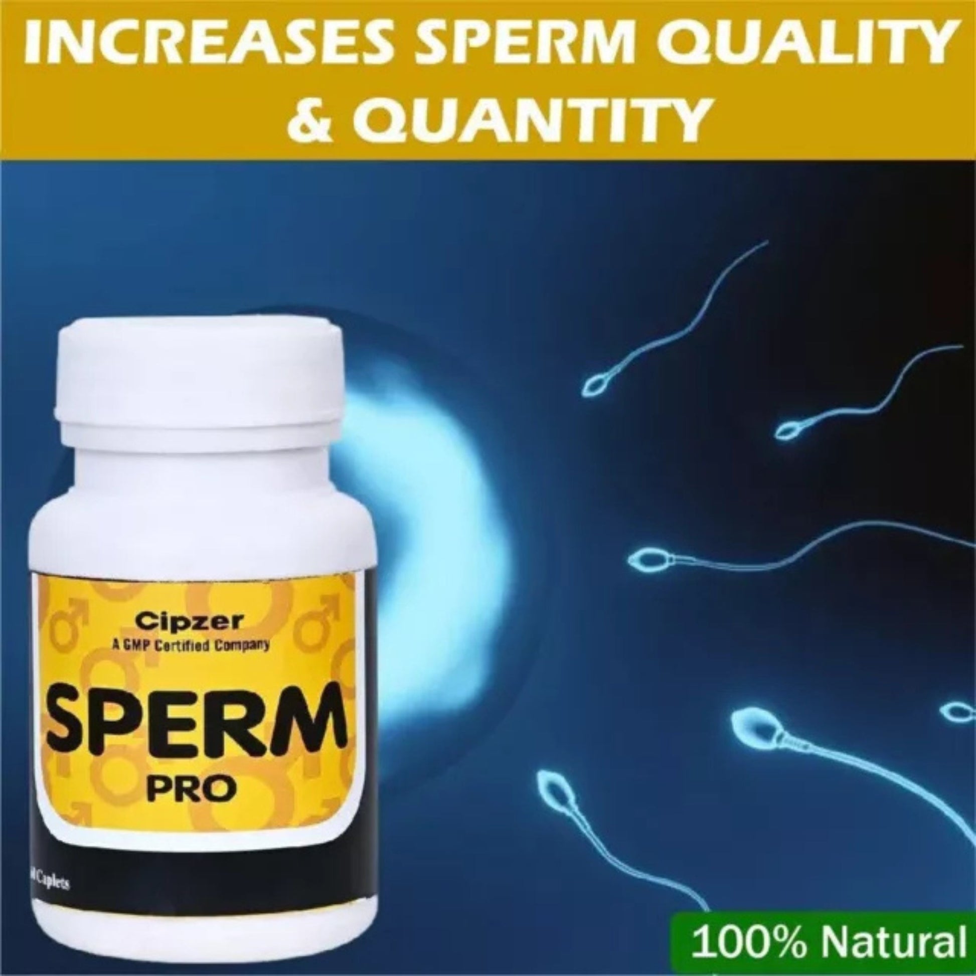 https://cdn.shopify.com/s/files/1/1857/6931/files/CSPMPR60-3_66e97f8c-37f4-4825-8289-3cb42f4abf74.jpg?v=1763025516