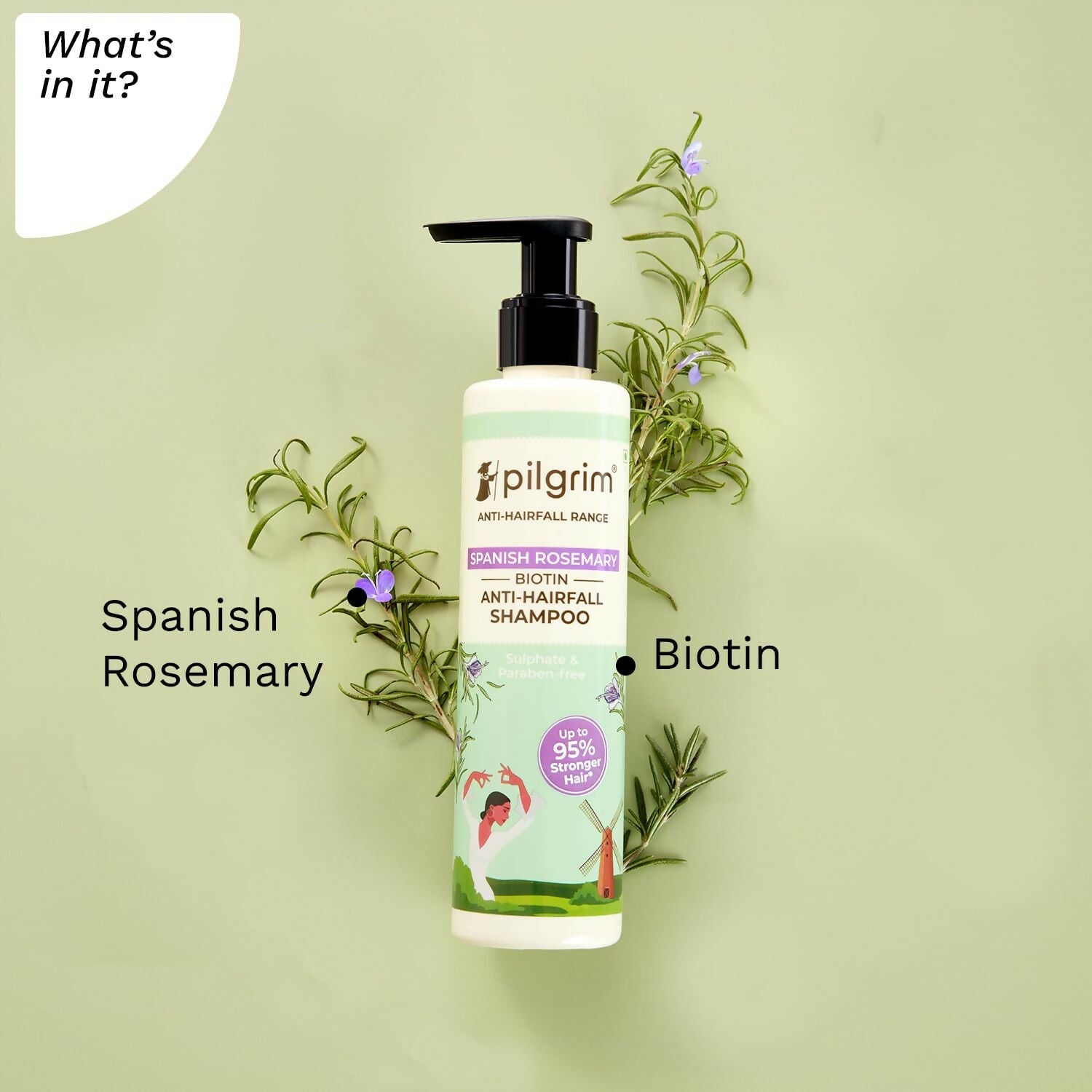 https://cdn.shopify.com/s/files/1/1857/6931/files/CScPxS6gxa.jpg?v=1759489478
