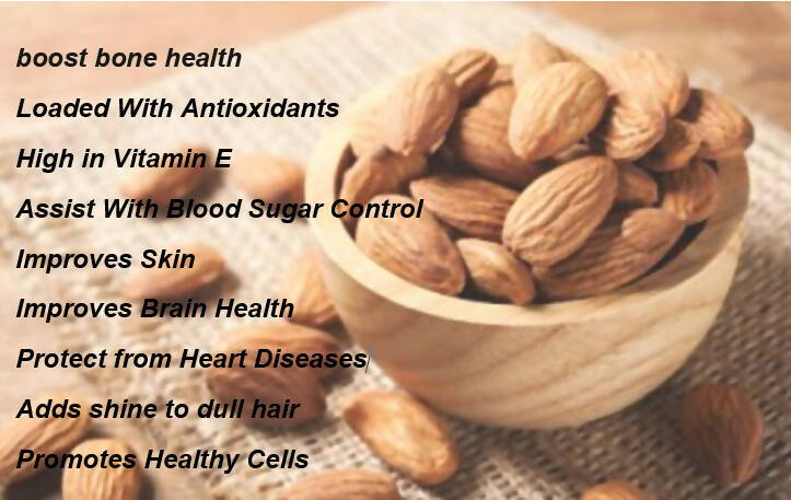 https://cdn.shopify.com/s/files/1/1857/6931/products/CT00IUTIyj.jpg?v=1673502005