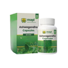 https://cdn.shopify.com/s/files/1/1857/6931/files/Canva-2026-08-04T155036.909.png?v=1785838851