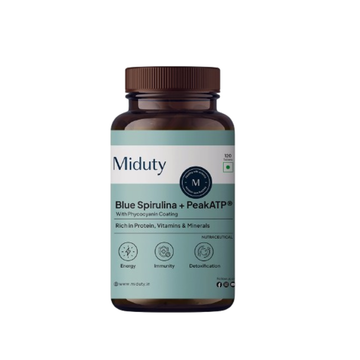 https://cdn.shopify.com/s/files/1/1857/6931/files/Canva_-_2025-12-26T190819.360.png?v=1766756332