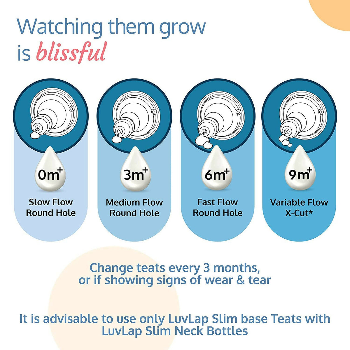 Image 5 of LuvLap Essential Slim Neck Glass Feeding Bottle