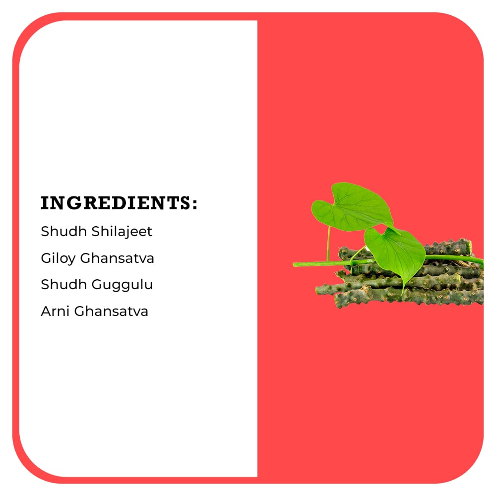 https://cdn.shopify.com/s/files/1/1857/6931/files/Cholesteronil-Sugar-Free-03-min.jpg?v=1760501960