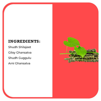 https://cdn.shopify.com/s/files/1/1857/6931/files/Cholesteronil-Sugar-Free-03-min.jpg?v=1760501960