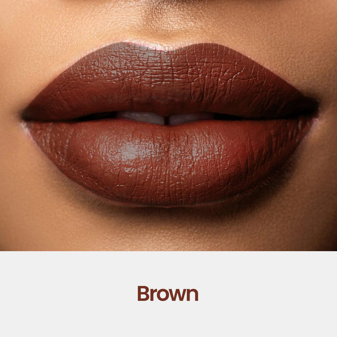 https://cdn.shopify.com/s/files/1/1857/6931/files/Cinnamon_1120x_4cb0f136-ecb4-4243-a83b-cfc00733952b.jpg?v=1749192582
