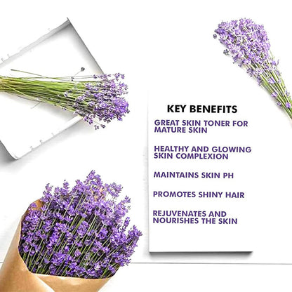 https://cdn.shopify.com/s/files/1/1857/6931/products/Cj2wfMAwQp.jpg?v=1638015364
