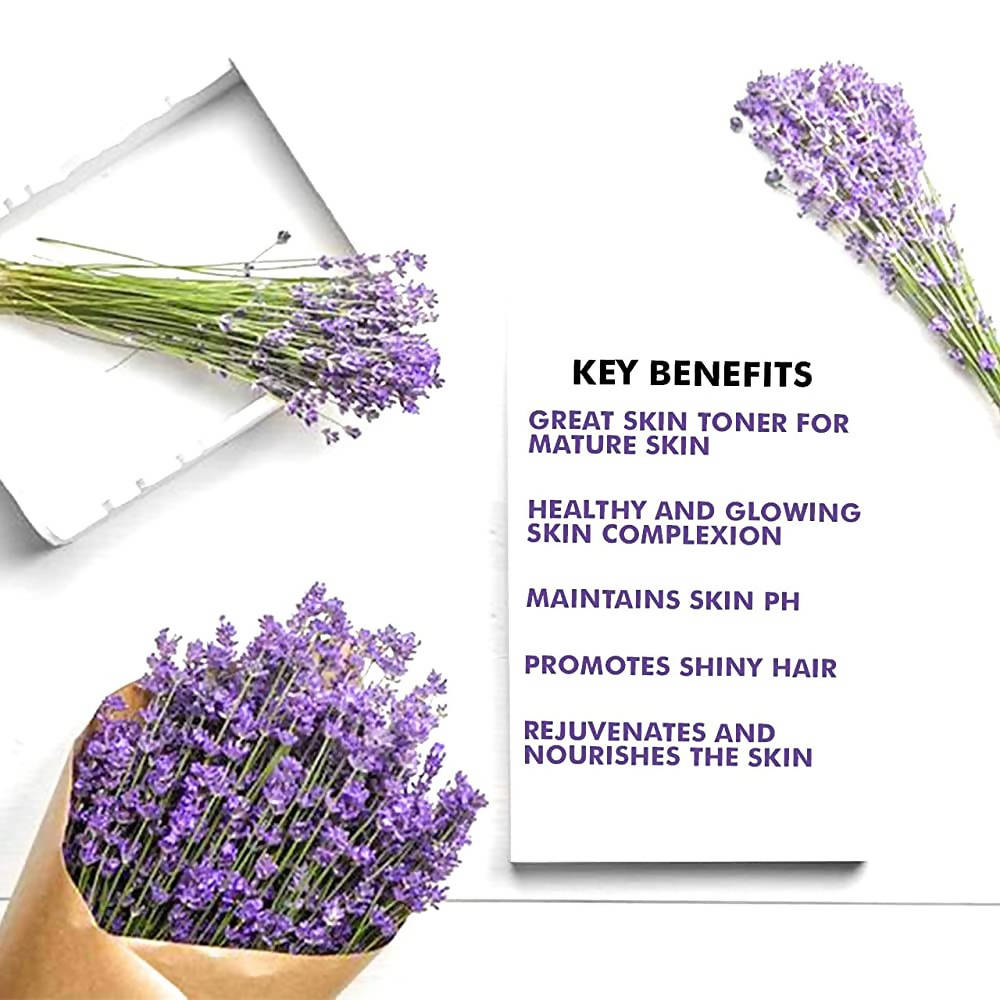 https://cdn.shopify.com/s/files/1/1857/6931/products/Cj2wfMAwQp.jpg?v=1638015364