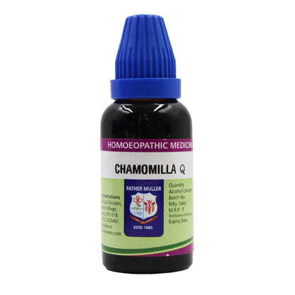 https://cdn.shopify.com/s/files/1/1857/6931/files/Cjzz6OGqUs.jpg?v=1717492638