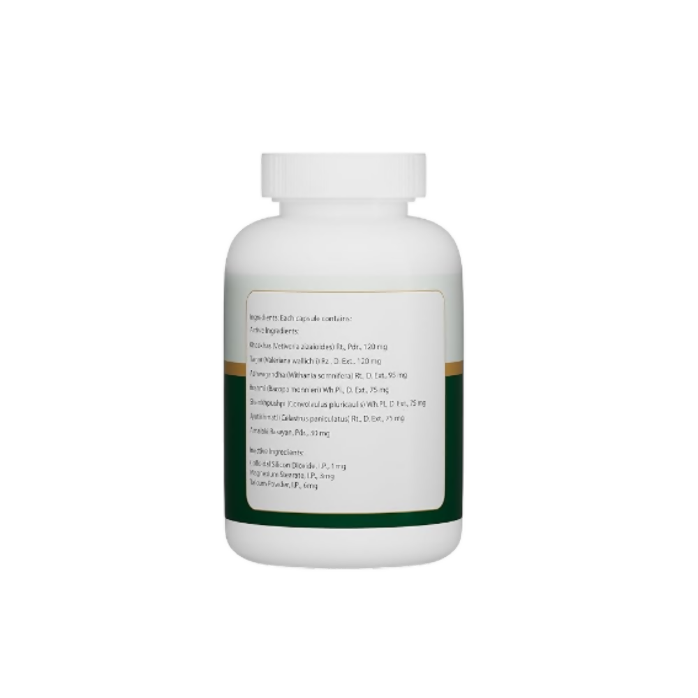 https://cdn.shopify.com/s/files/1/1857/6931/files/CmoDyEtC7O.png?v=1775458277