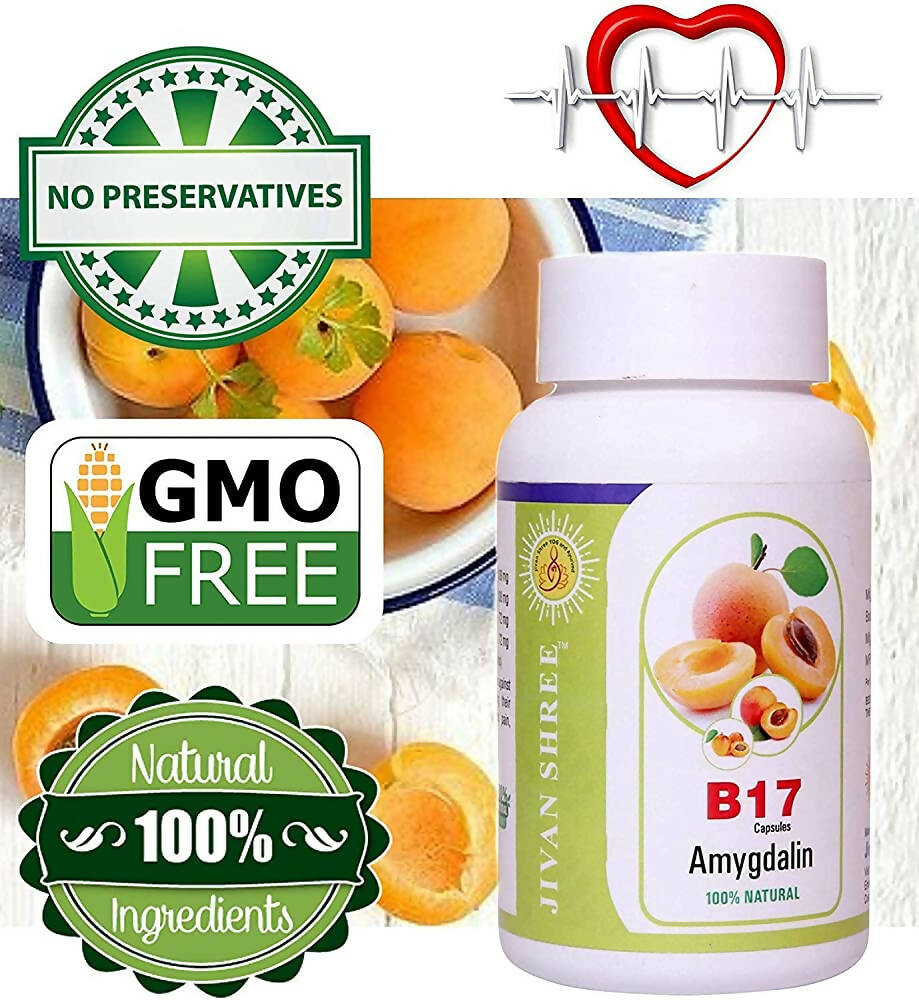 https://cdn.shopify.com/s/files/1/1857/6931/products/Cn2Kyivnab.jpg?v=1679897348