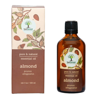https://cdn.shopify.com/s/files/1/1857/6931/products/Cn87Tgbd0F.jpg?v=1658579591