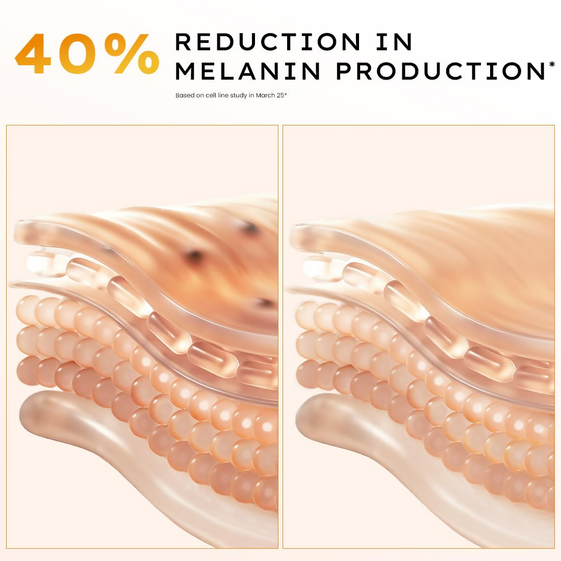 https://cdn.shopify.com/s/files/1/1857/6931/files/CnfoISnsFt.png?v=1761041020