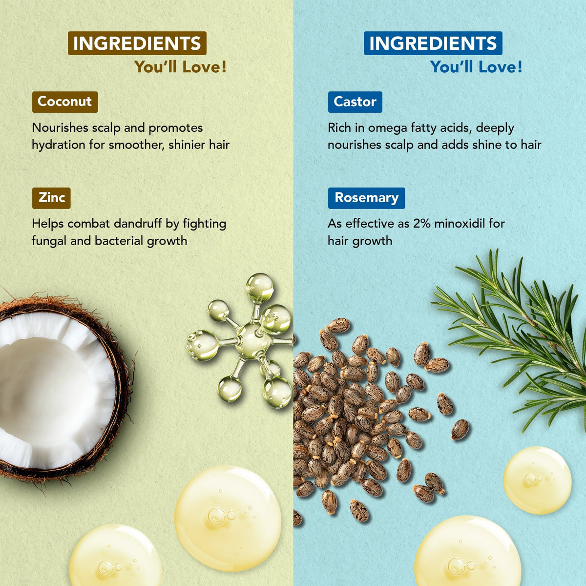 Image 3 of Botanic Hearth Coconut Zinc & Rosemary Castor - Hair Oil