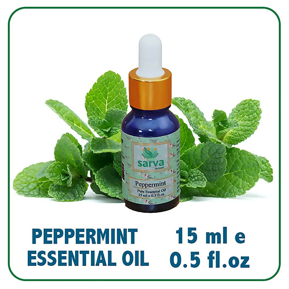 https://cdn.shopify.com/s/files/1/1857/6931/products/CpYLaZAcey.jpg?v=1670652068