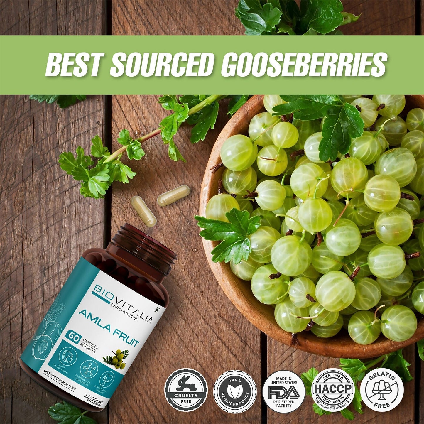 https://cdn.shopify.com/s/files/1/1857/6931/files/Cq4HIxqRYe.jpg?v=1727680420