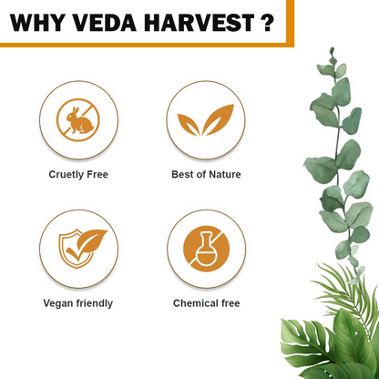 https://cdn.shopify.com/s/files/1/1857/6931/files/CqdxmZIemB.png?v=1727091144