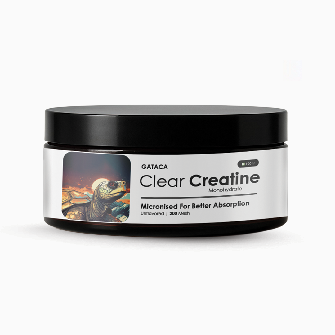 https://cdn.shopify.com/s/files/1/1857/6931/files/Creatine-front-updated_ce3bfc35-36e2-4f66-b77a-2f06f1799e8f.png?v=1761304714