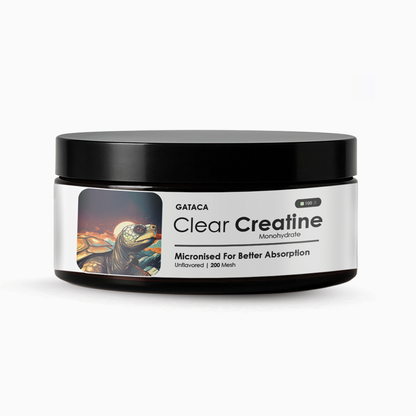 https://cdn.shopify.com/s/files/1/1857/6931/files/Creatine-front-updated_ce3bfc35-36e2-4f66-b77a-2f06f1799e8f.png?v=1761304714