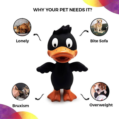 https://cdn.shopify.com/s/files/1/1857/6931/products/CrseD5NI8R.jpg?v=1706852029