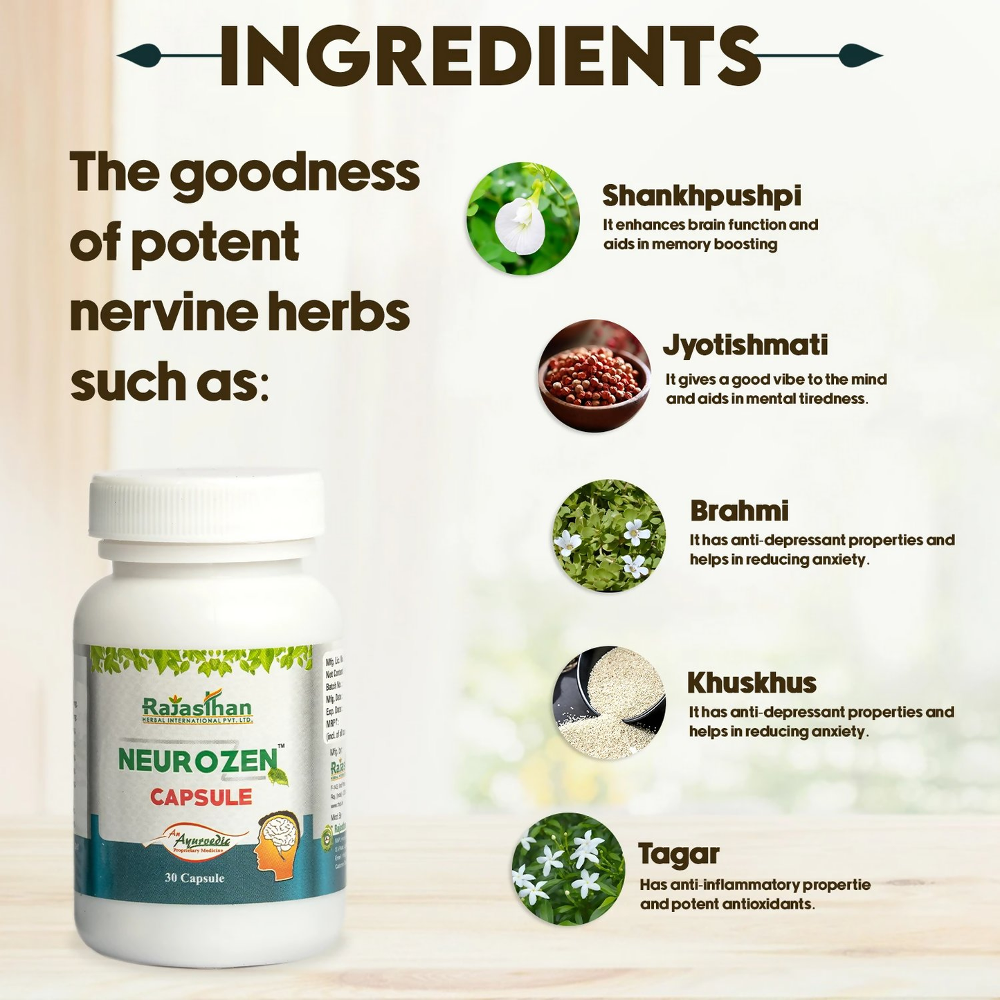 https://cdn.shopify.com/s/files/1/1857/6931/files/CrvesZwUOj.png?v=1760704462