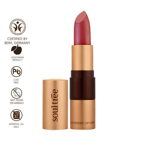 https://cdn.shopify.com/s/files/1/1857/6931/products/CtBCbQ59oJ.jpg?v=1629536684