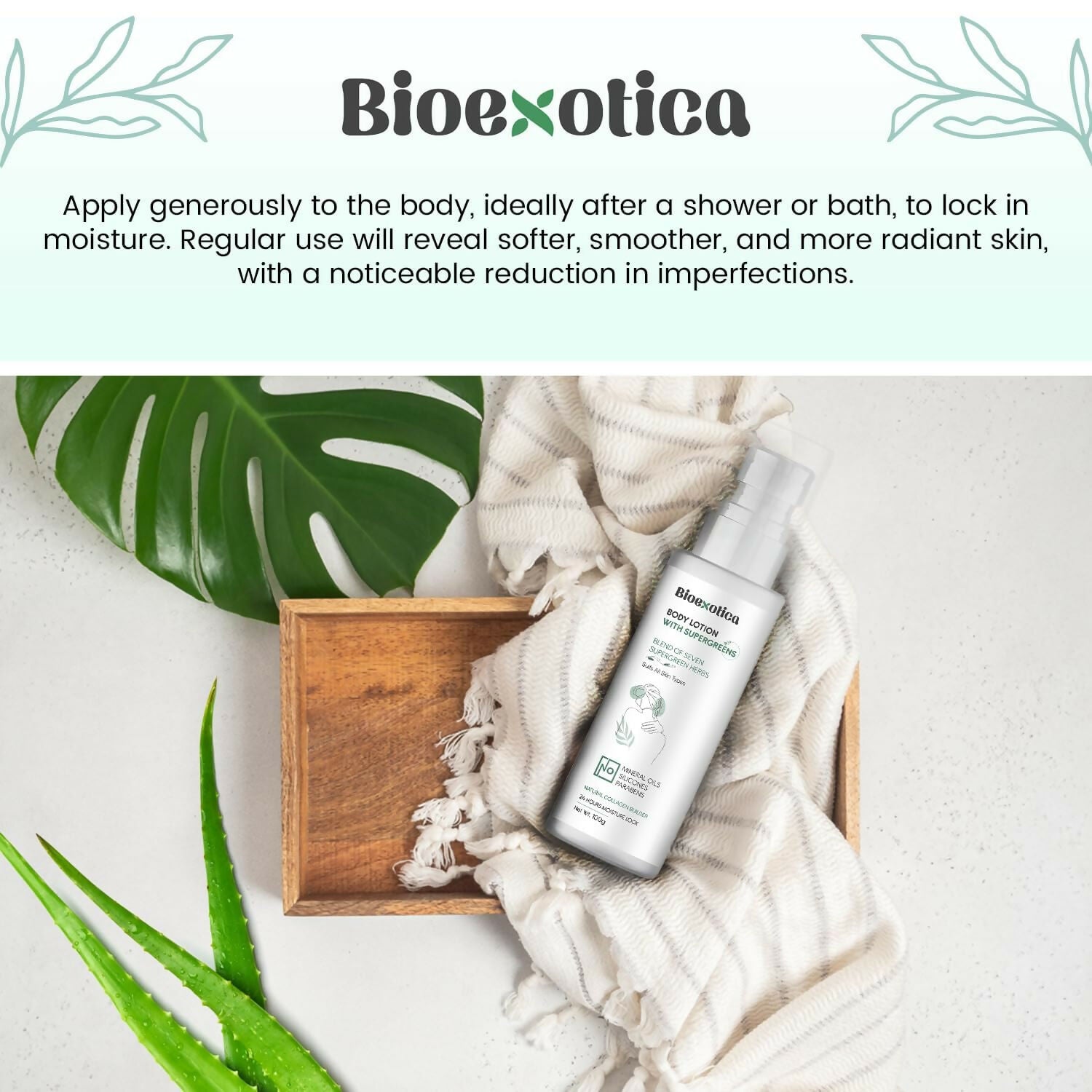 https://cdn.shopify.com/s/files/1/1857/6931/files/CtttR5237F.jpg?v=1728132193