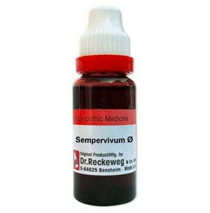 https://cdn.shopify.com/s/files/1/1857/6931/products/Cw05chkdpC.jpg?v=1678100114