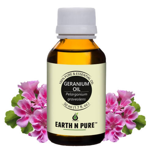 https://cdn.shopify.com/s/files/1/1857/6931/products/CyfRgko2Om.jpg?v=1646214046