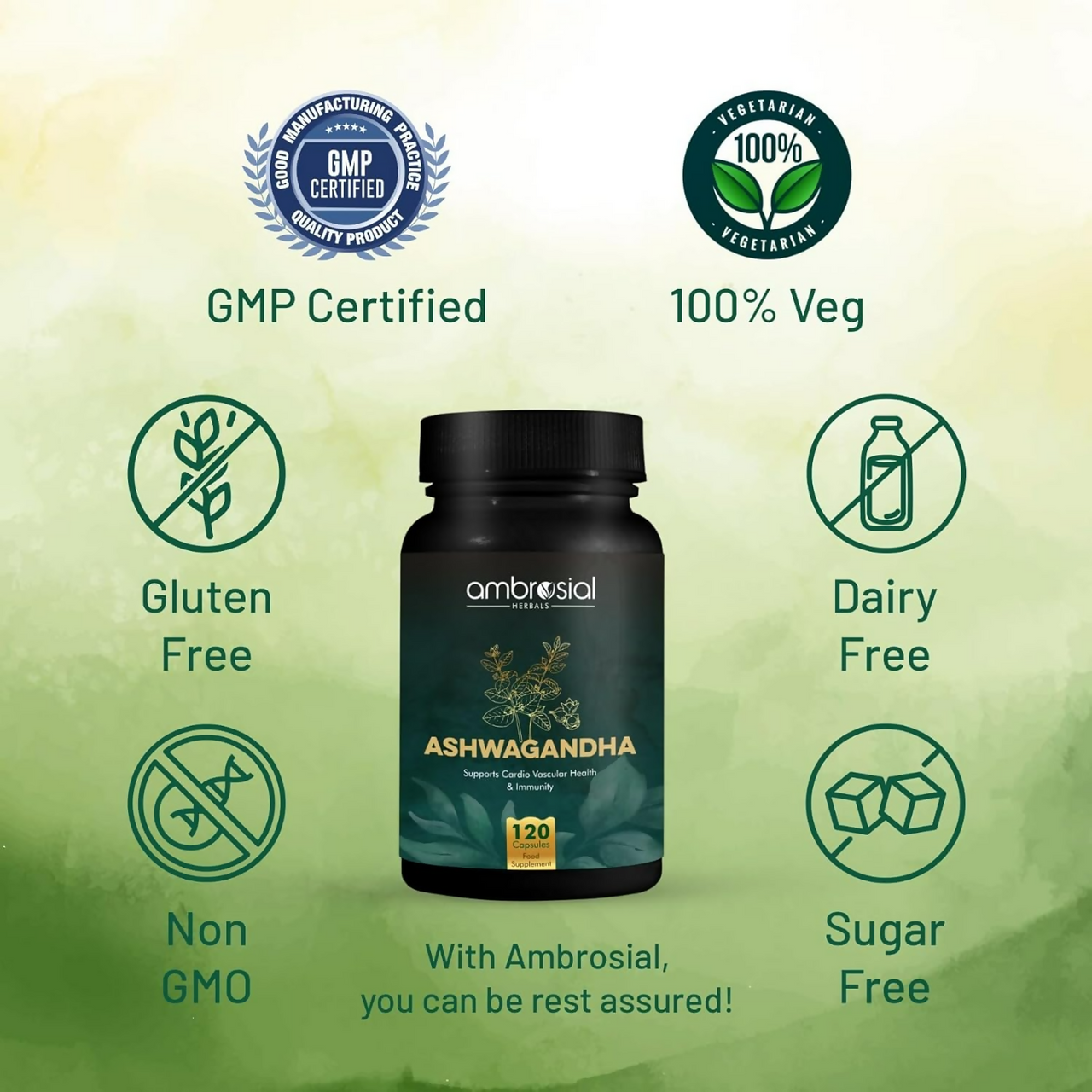 https://cdn.shopify.com/s/files/1/1857/6931/files/CzMEuhwpK1.png?v=1742447735