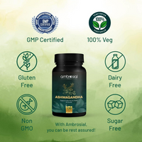 https://cdn.shopify.com/s/files/1/1857/6931/files/CzMEuhwpK1.png?v=1742447735