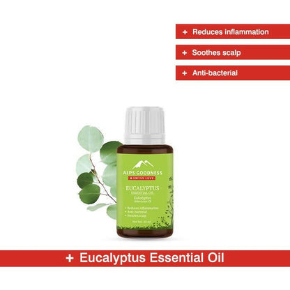 https://cdn.shopify.com/s/files/1/1857/6931/files/D1QdDCGgJK-909127.jpg?v=1736146679